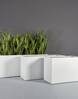 Tolga Planter